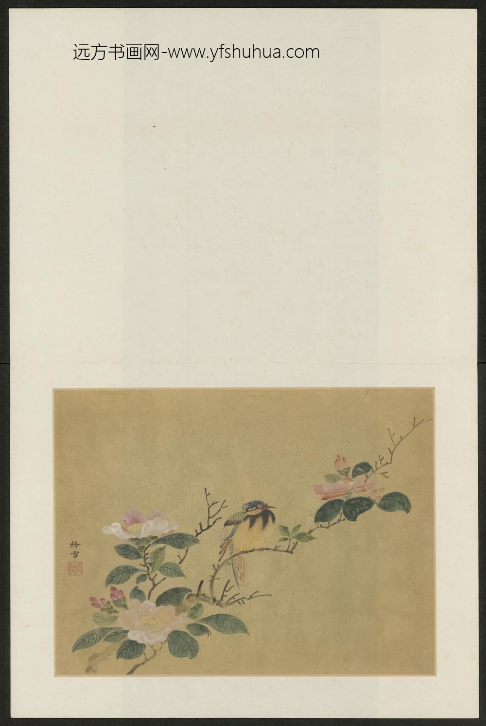 清-吴宗爱花鸟图册-