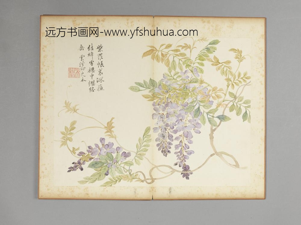 清-吴楷花卉册-