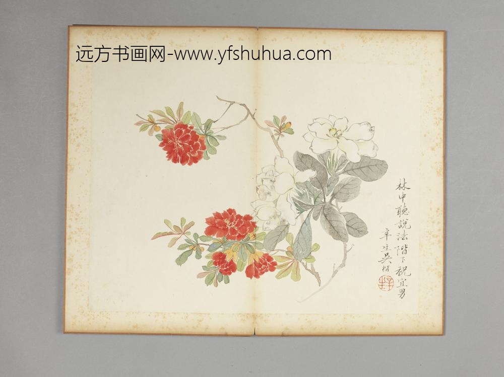 清-吴楷花卉册-