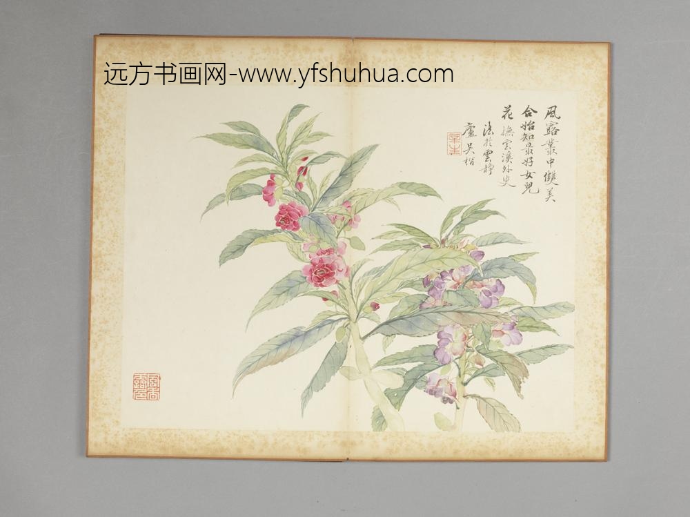 清-吴楷花卉册-
