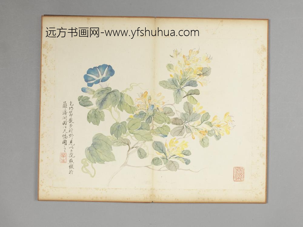清-吴楷花卉册-