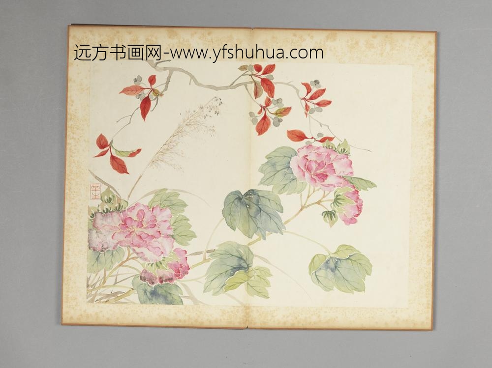清-吴楷花卉册-