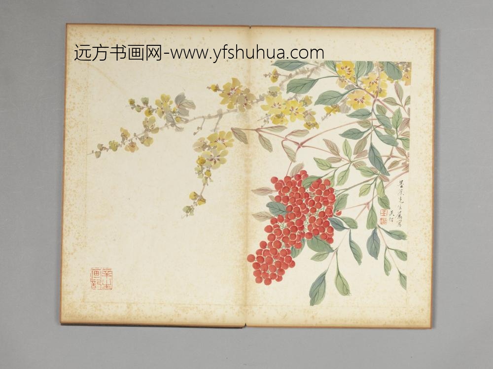清-吴楷花卉册-