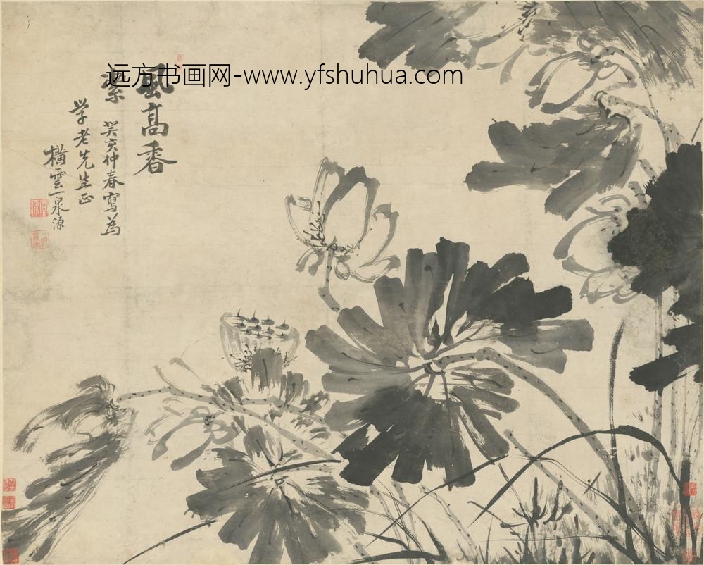 清-实源墨荷图轴