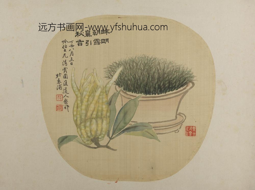 清-张槃佛手盆花纨扇页