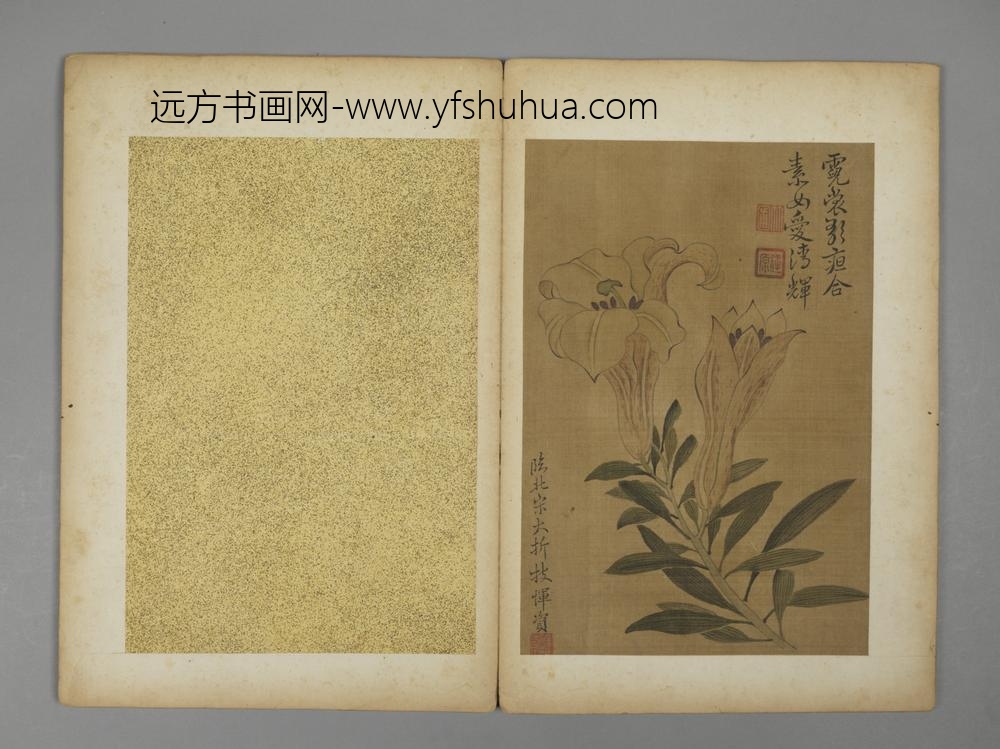 清-恽资花卉册-