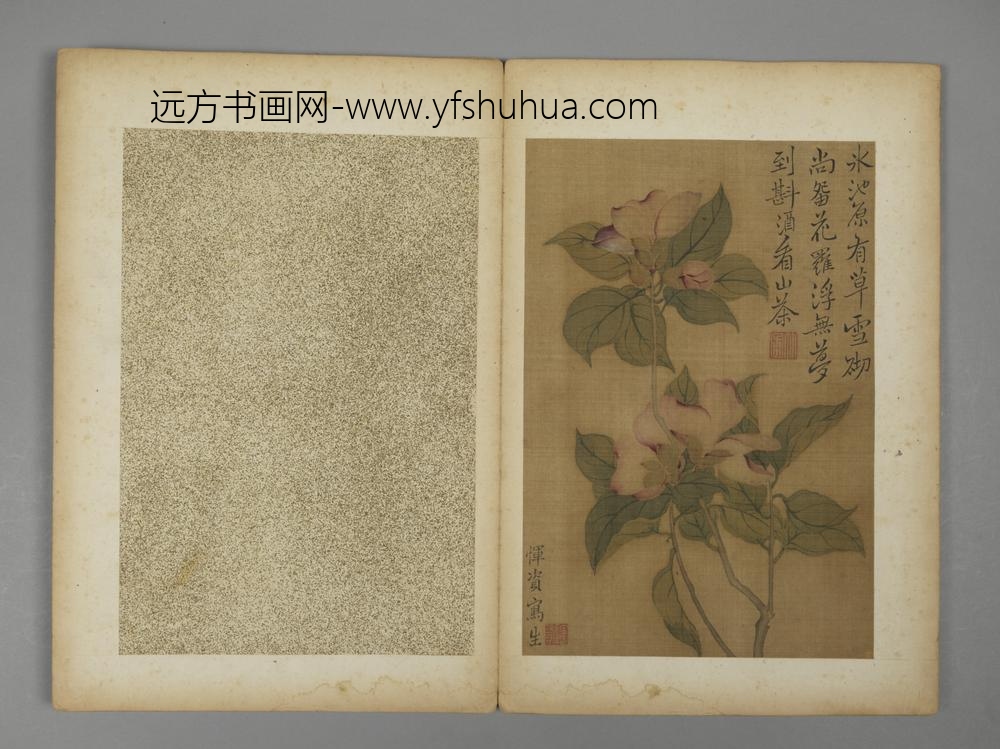 清-恽资花卉册-