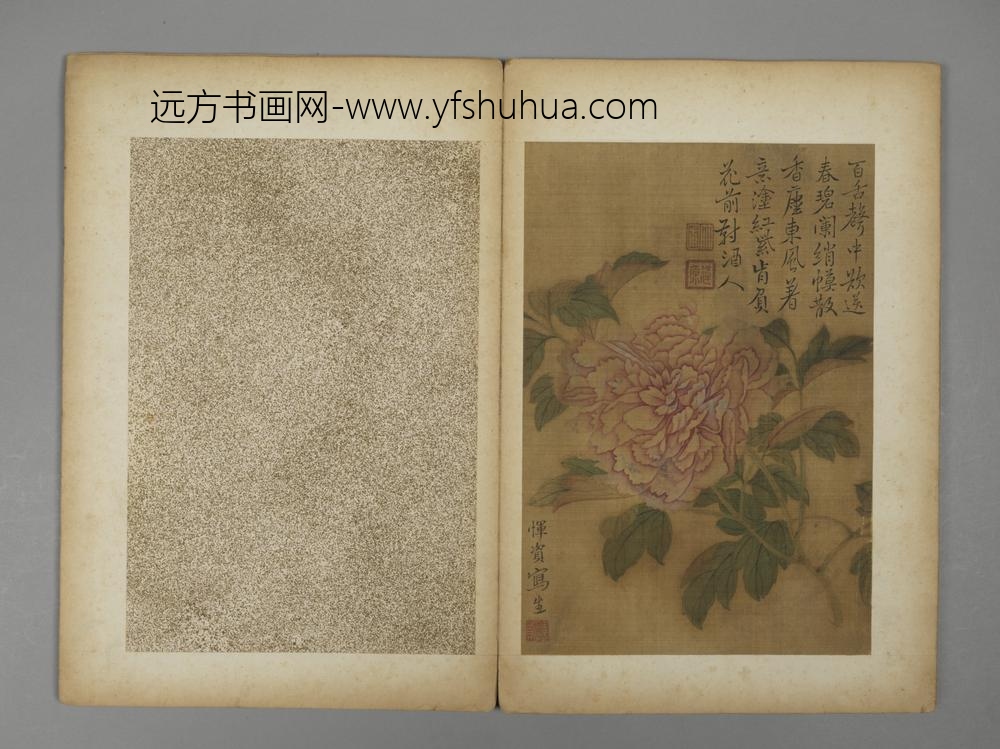 清-恽资花卉册-