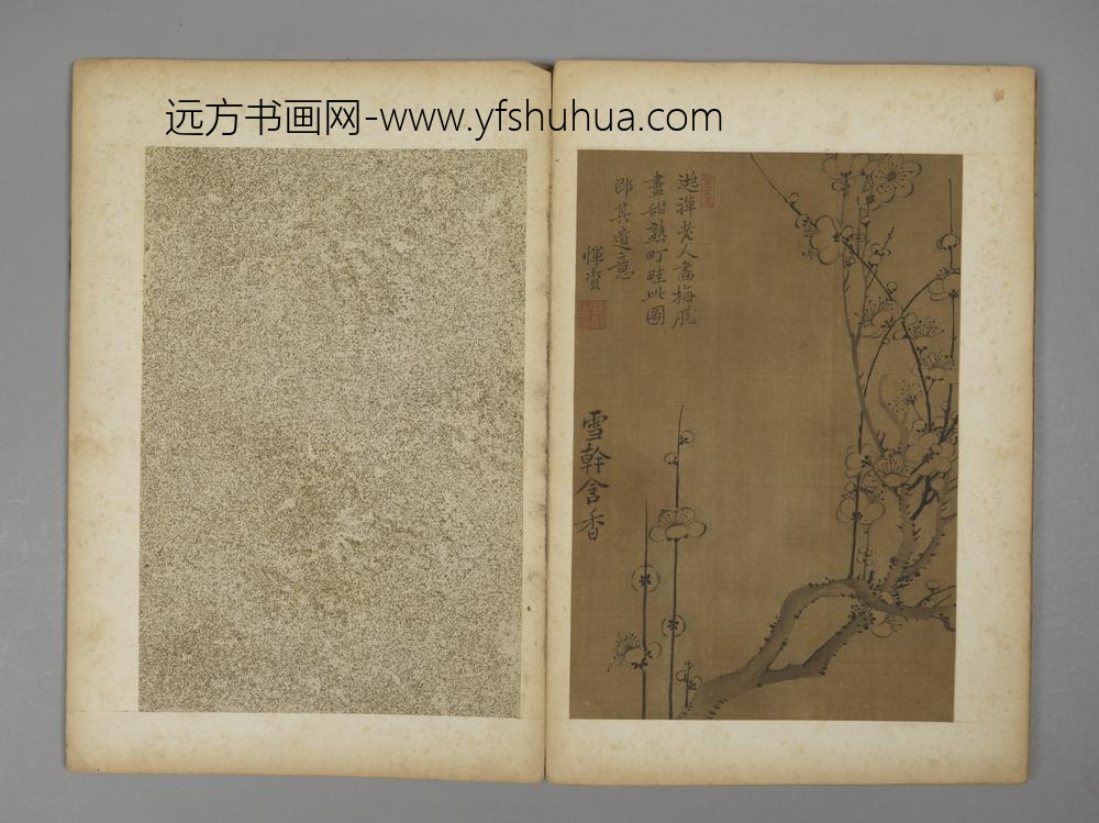 清-恽资花卉册-