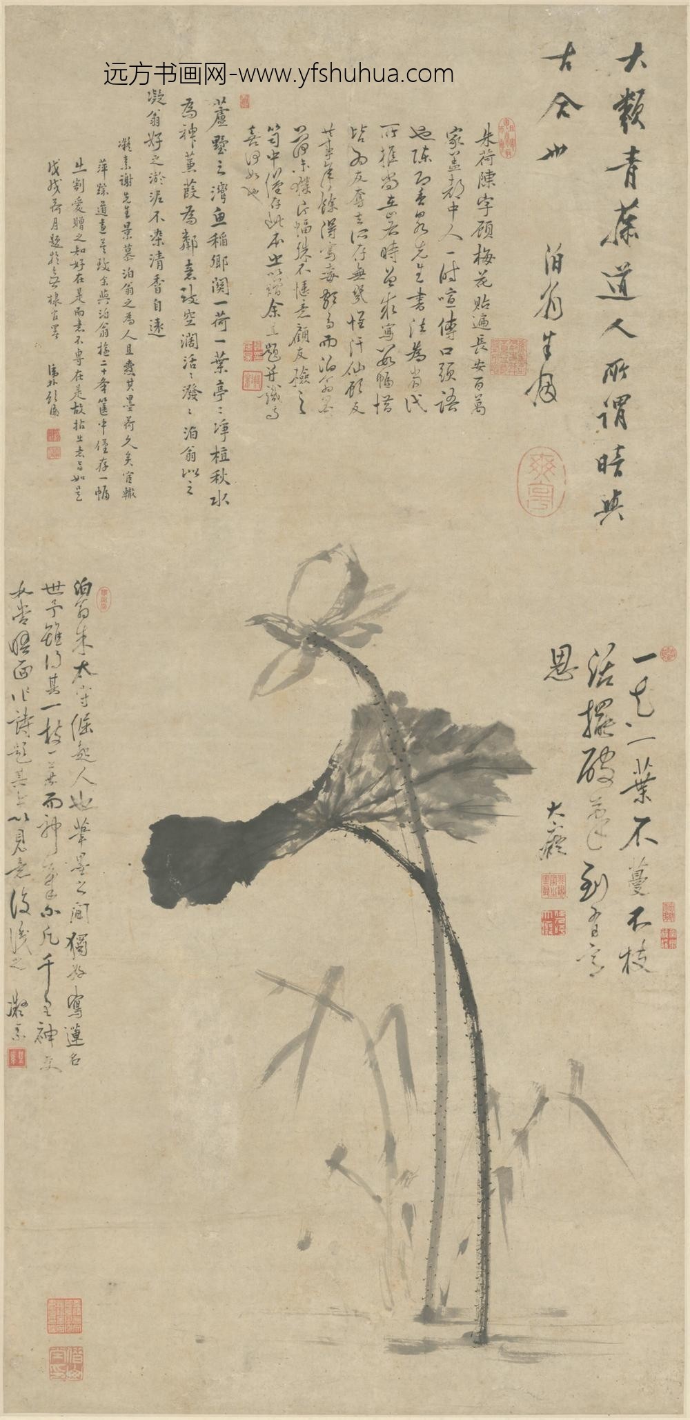 清-朱因墨荷轴