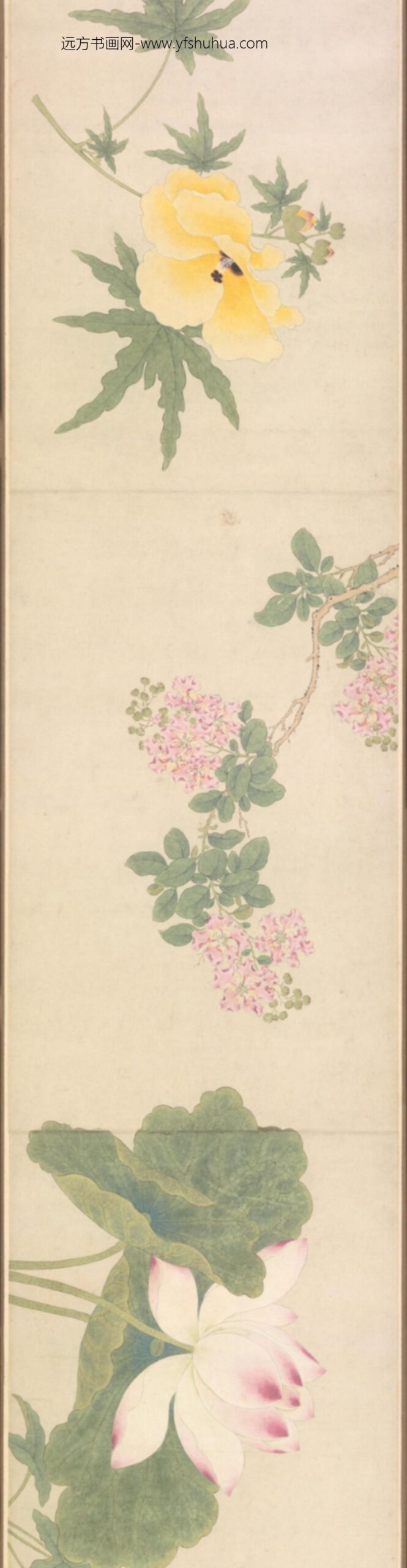 清-朱昶花卉图卷_