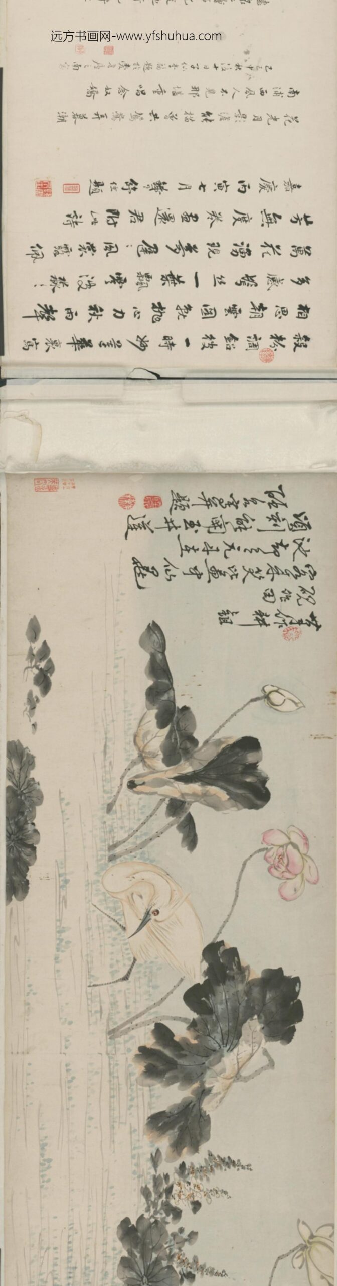 清-朱栋荷花鹭鸶图卷_