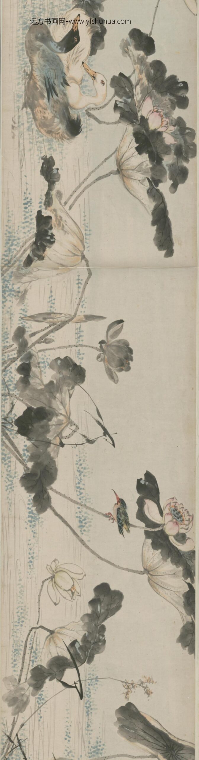 清-朱栋荷花鹭鸶图卷_