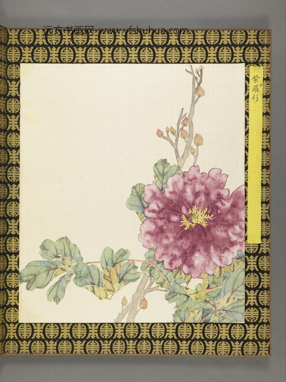 清-清人牡丹谱册
