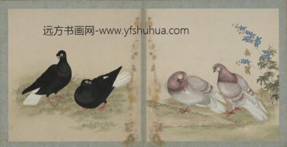 清 清人画鸽谱图册.jpg