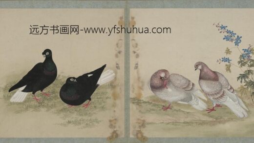清 清人画鸽谱图册.jpg