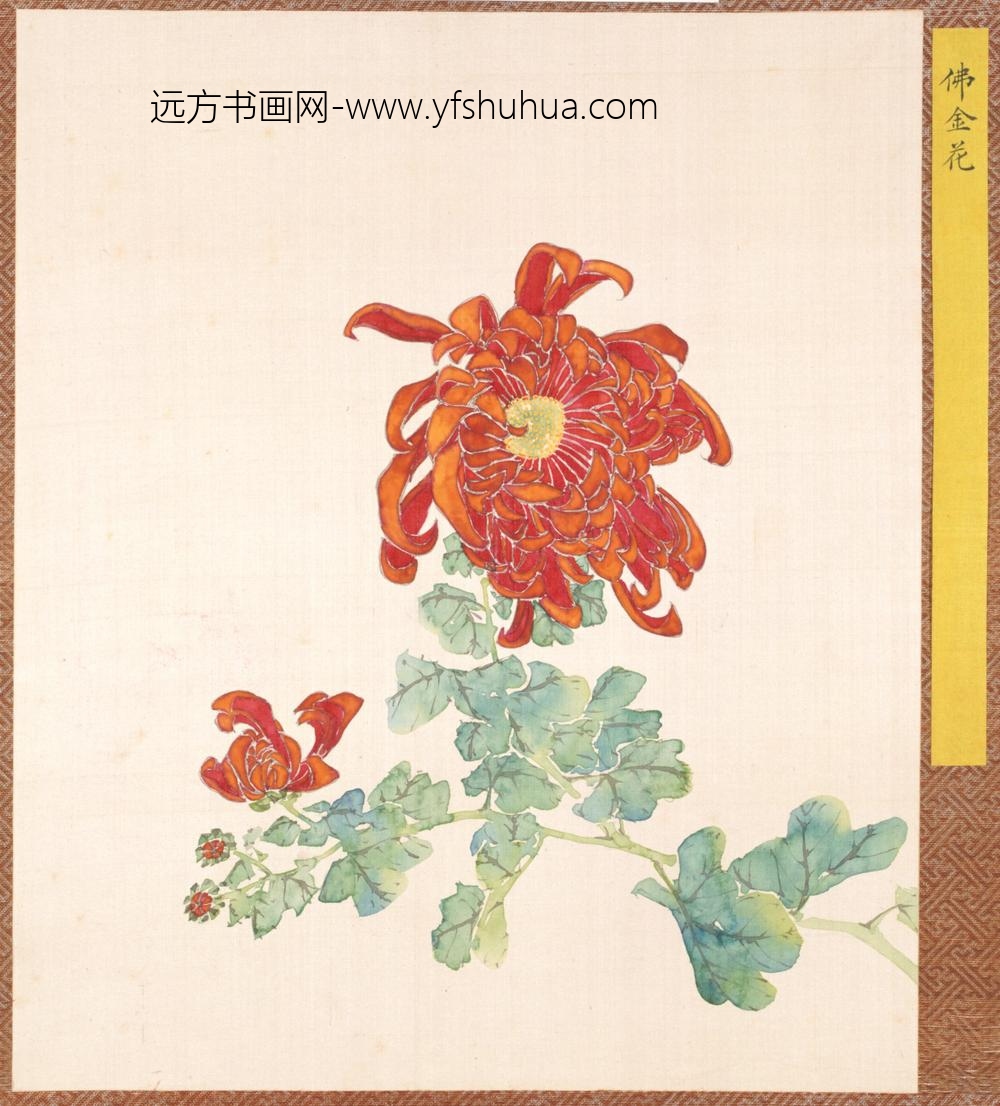 清-清人菊谱册