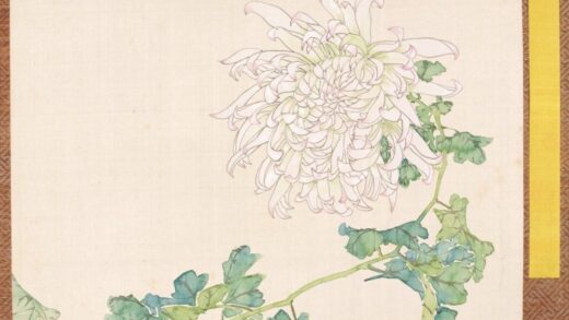 清 清人菊谱册.jpg