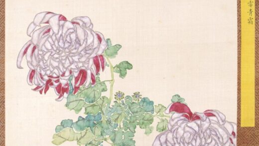 清 清人菊谱册.jpg
