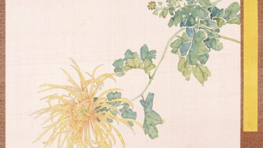 清 清人菊谱册.jpg