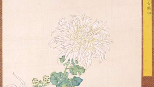 清 清人菊谱册.jpg
