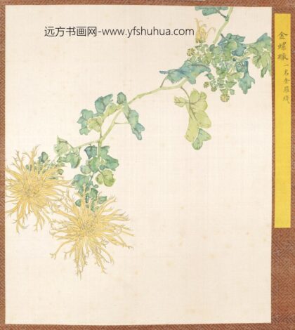 清 清人菊谱册.jpg