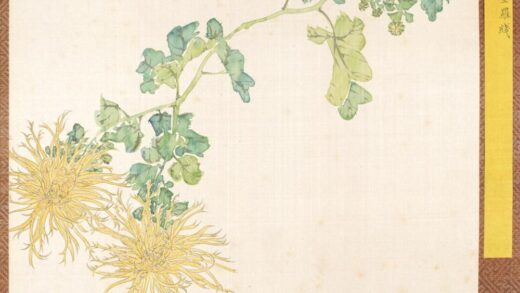 清 清人菊谱册.jpg