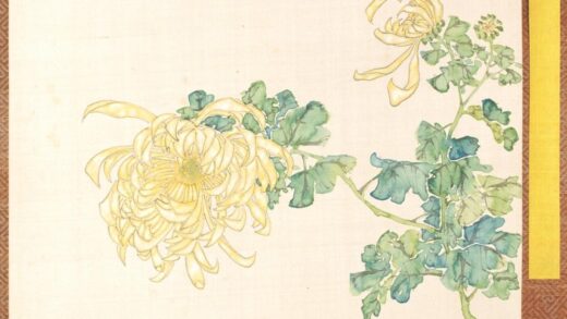 清 清人菊谱册.jpg