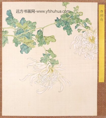 清 清人菊谱册.jpg