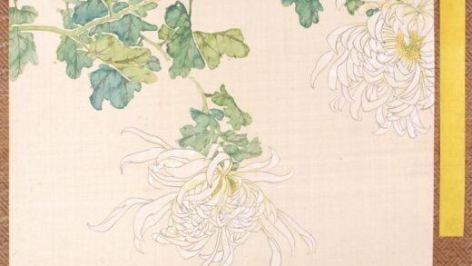 清 清人菊谱册.jpg