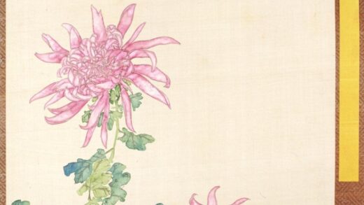 清 清人菊谱册.jpg