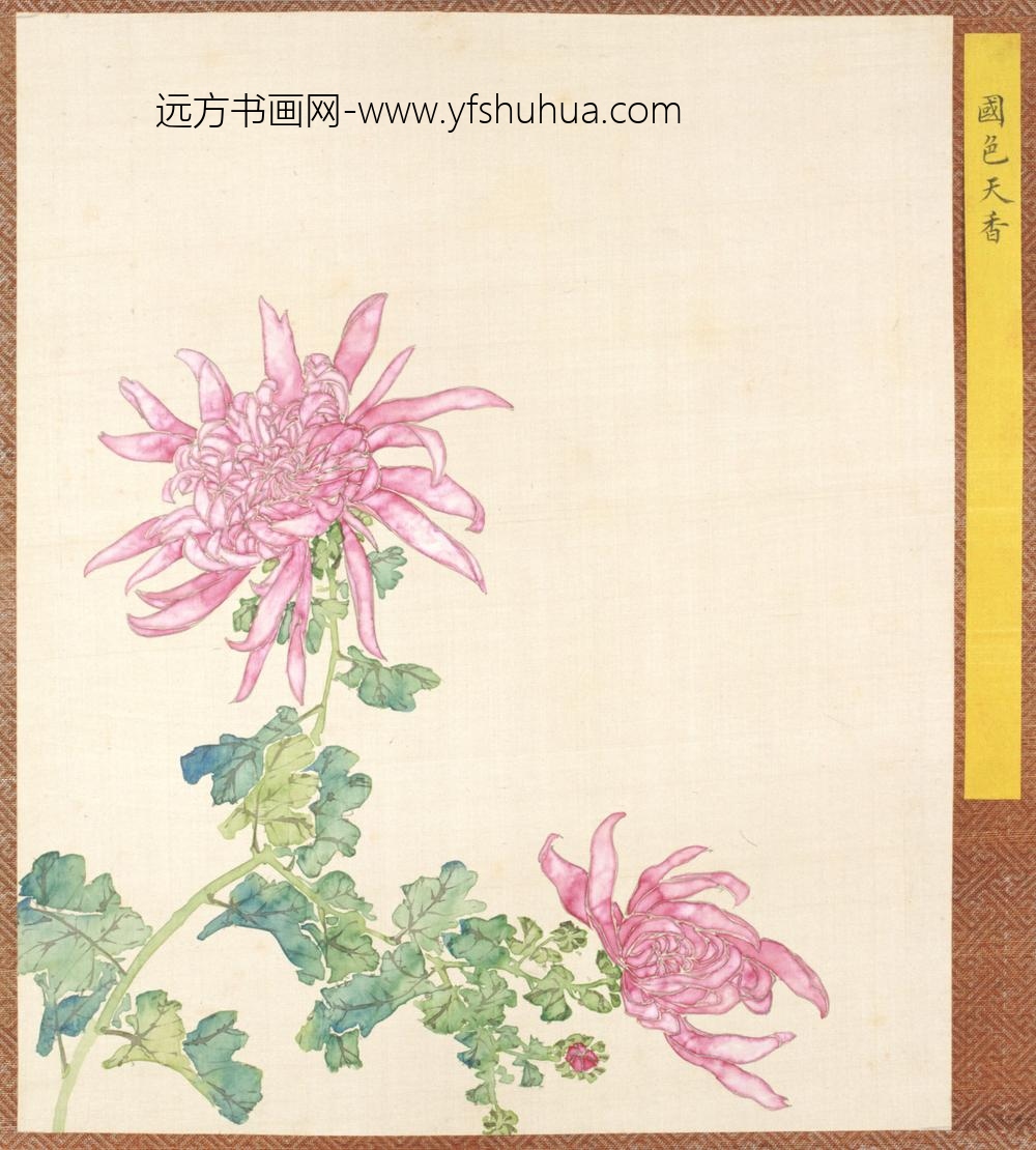 清-清人菊谱册