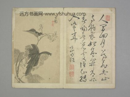 清 清初十四家书画集锦册 永铨花卉册页.jpg