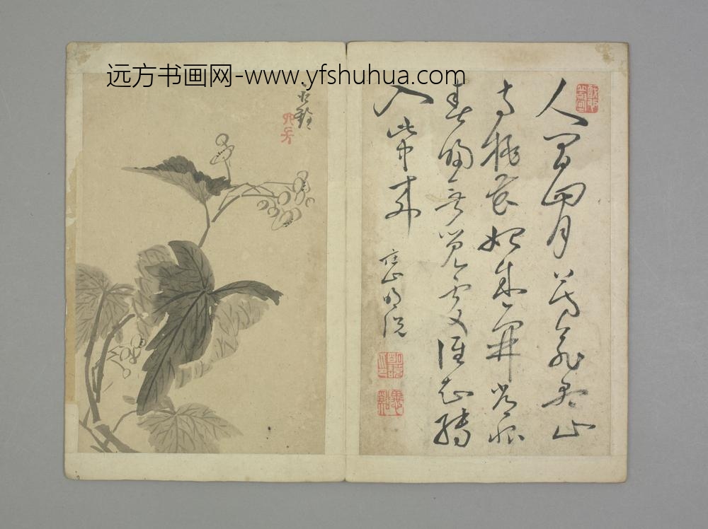 清-清初十四家书画集锦册-永铨花卉册页