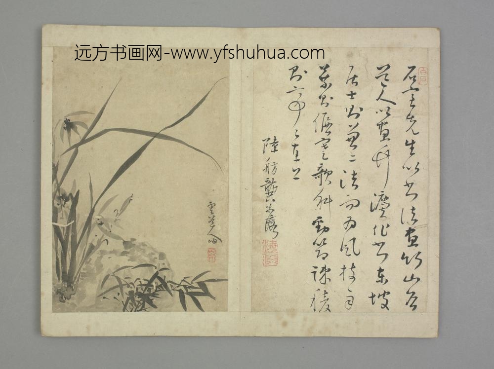 清-清初十四家书画集锦册-赵岫兰竹册页