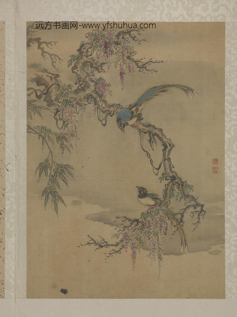 清-王冈花鸟图册-