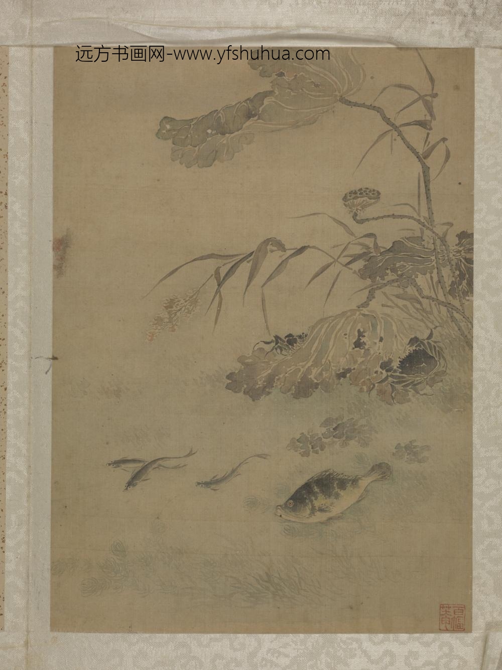 清-王冈花鸟图册-
