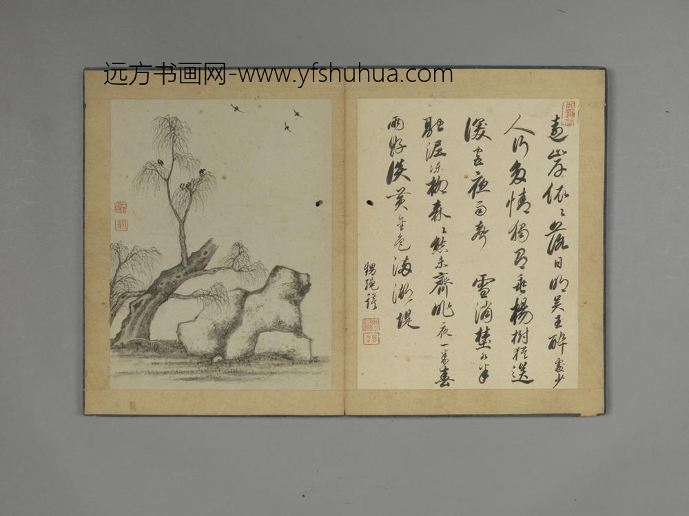 清-王翰山水花石册-