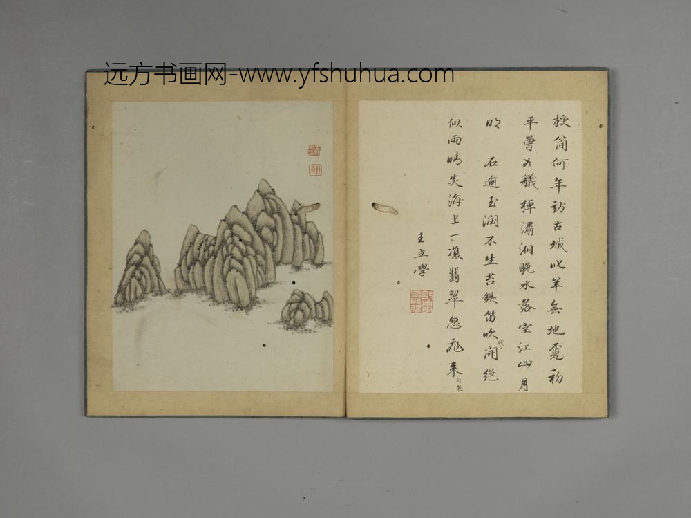 清-王翰山水花石册-