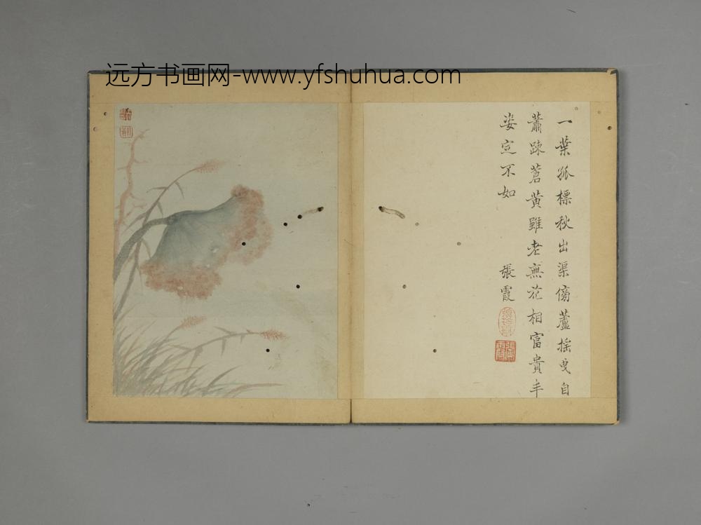 清-王翰山水花石册-