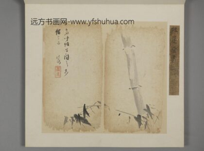 清 王露花卉册 1.jpg