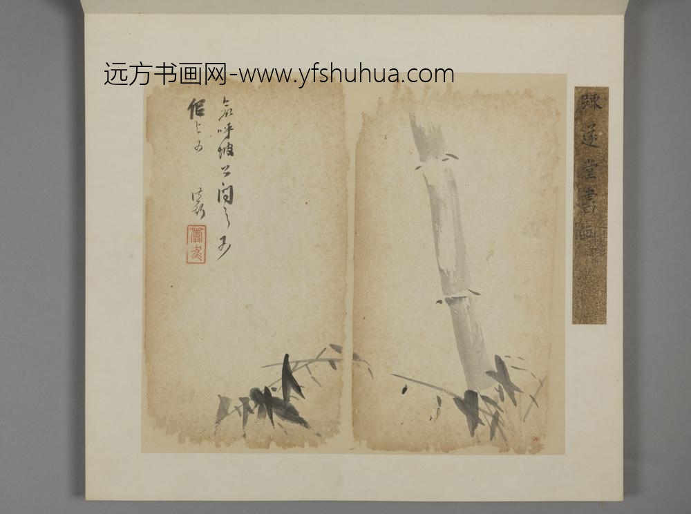 清-王露花卉册-