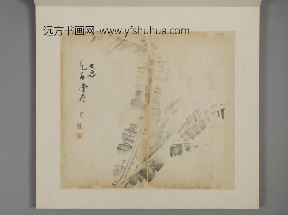 清-王露花卉册-