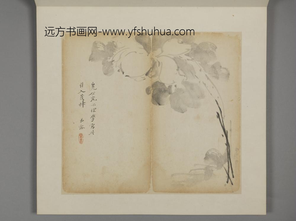 清-王露花卉册-