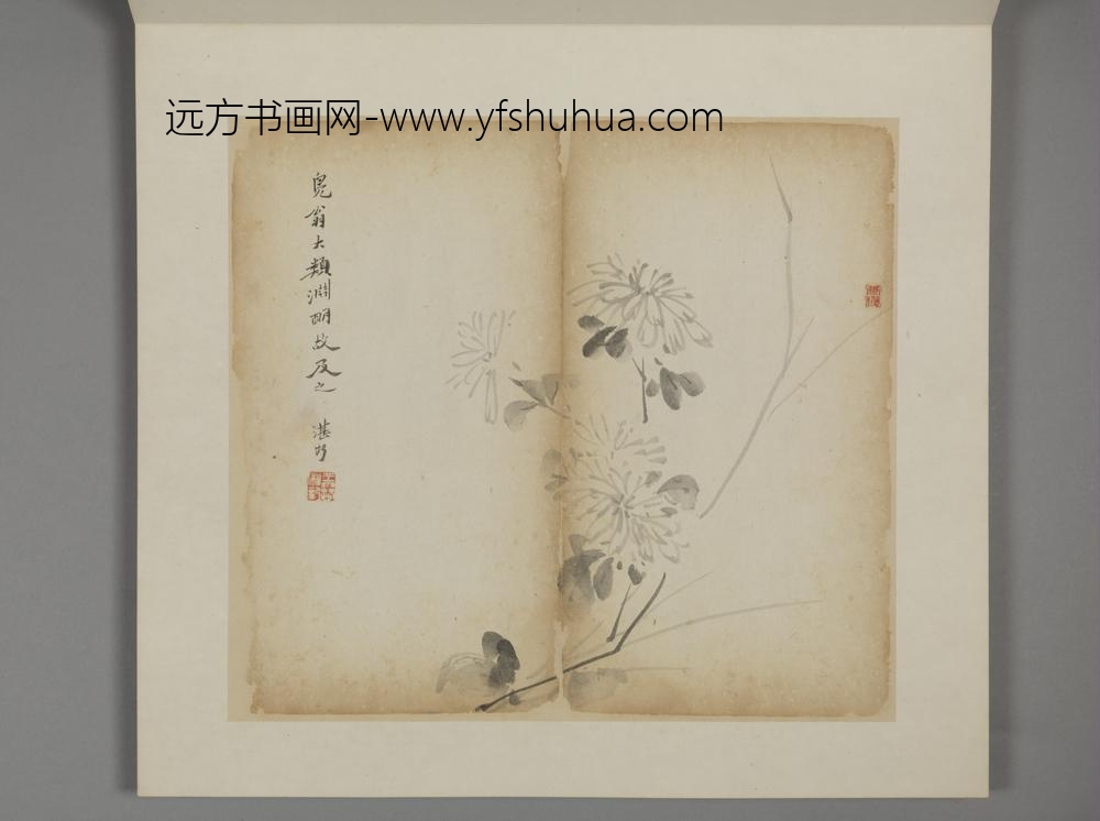 清-王露花卉册-