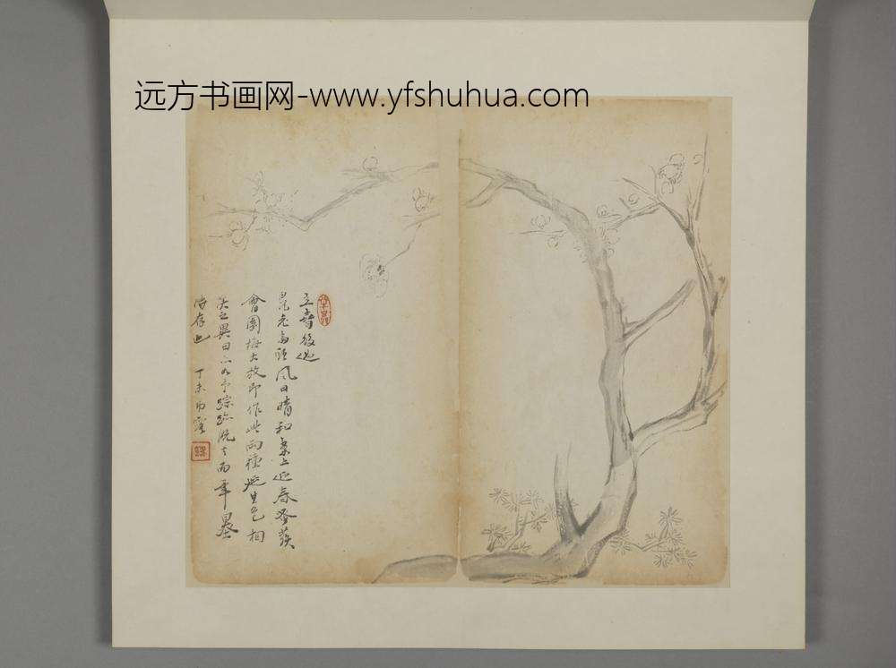 清-王露花卉册-
