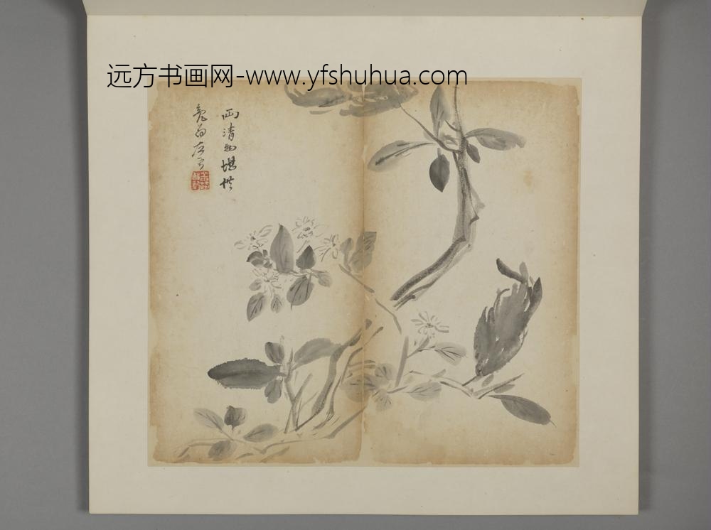 清-王露花卉册-