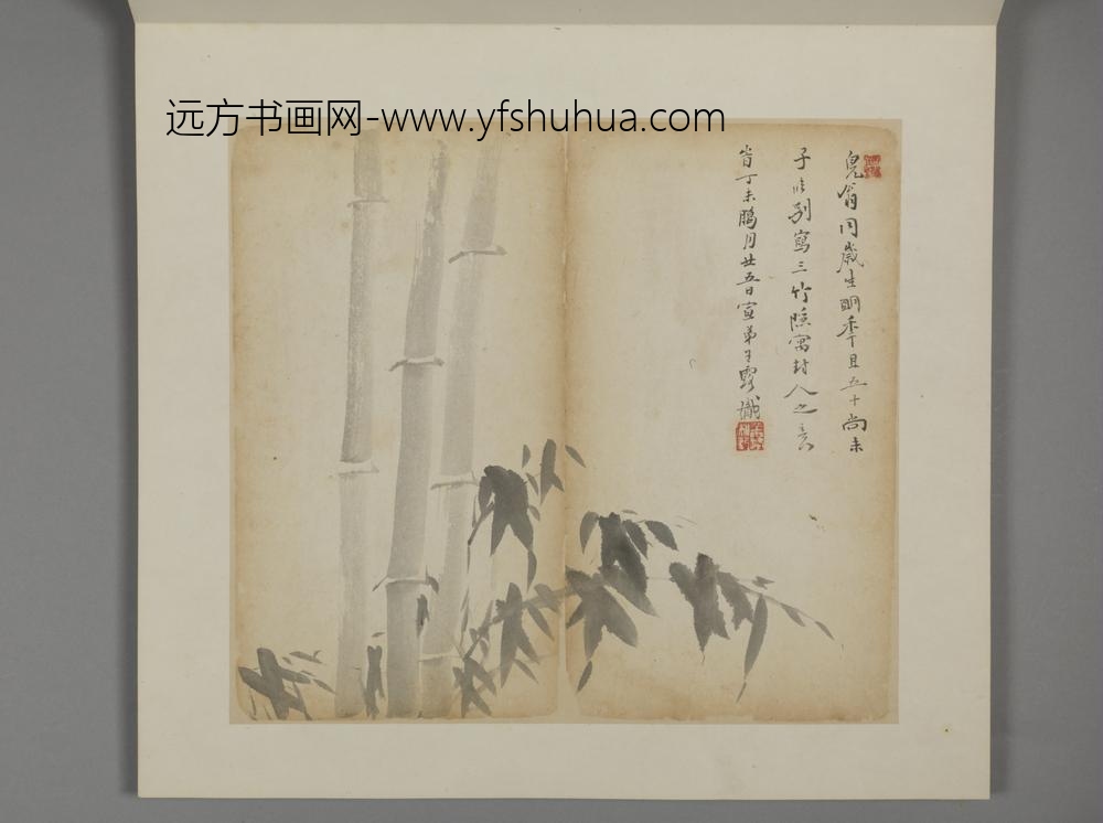 清-王露花卉册-