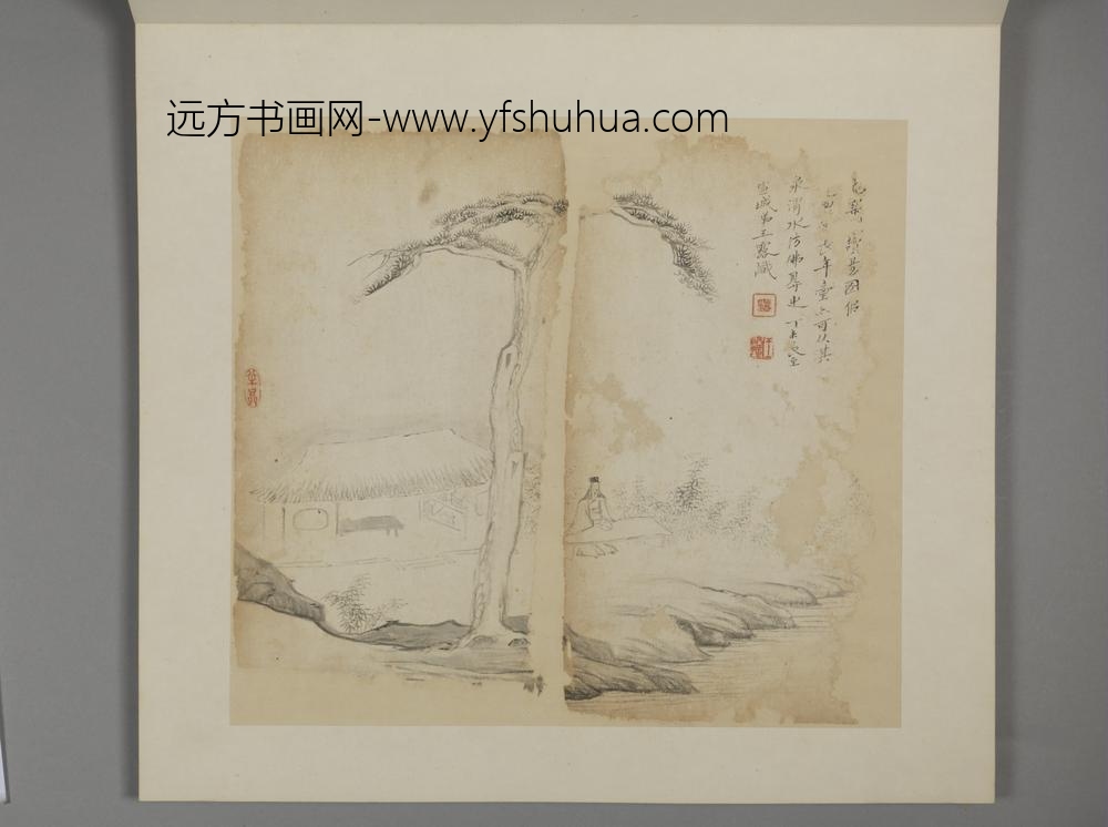 清-王露花卉册-