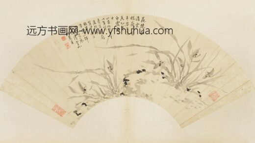 清 石之英兰石图扇面.jpg